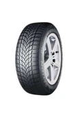 Dayton 195/65 R15 91T Dw510E 2025 Kış Lastiği - 1