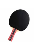 Cornilleau Sport 300 Ittf Onaylı Masa Tenisi Raketi - 1