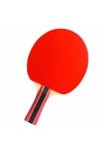 Cornilleau Sport 300 Ittf Onaylı Masa Tenisi Raketi - 2