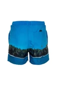 Quiksilver JLAGDRMSVLY15 M JAMV ERKEK VOLLEY SHORT EQYJV03548-BMM6 thumbnail 3