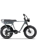 Ape Ryder A10 Iki Kişilik Elektrikli Bisiklet thumbnail 1