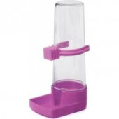 Papağanhane Kelepçeli Muhabbet Kuşu Suluğu - 1