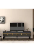 DEMONTE DECOR NORRA 180 CM TV SEHPASI (ALT MODÜL) ANTRASİT-ALTIN thumbnail 1