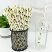 3B Trend Kağıt Pipet Ananas Desenli 25'li thumbnail 2