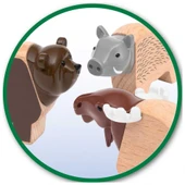 PARAPLY Brio Kuzey Hayvanları Seti 33988 Kız Erkek Çocuk Oyuncak Eğitici Oyuncaklar thumbnail 2