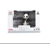 PARAPLY Kutulu Model Bambu Yiyen Panda Kız Erkek Çocuk Oyuncak Eğitici Oyuncaklar thumbnail 1