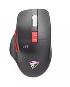 Hadron G390 Kablosuz Oyuncu Mouse Type-C Port Şarjlı + Led gösterim Rgb 1600Dpi Sessiz Siyah - 2