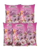Omnipazar SO-ITOPO Özel Vitaminli Orkide Toprağı 5 x 2 Litre - 1