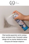 Premium Anti Küf Yalıtım Boyası Sprey Beyaz Rutubet Oluşumunu Engeller Duvar Derleme Önleyici 500 ml - 2