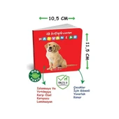 YUMURCAK TOYZ 2090 Dıytoy, İlk Kütüphanem-İlk Sözcükler 8'Li Mini Kitap Seti Kız Erkek Çocuk Oyuncak Eğitici Oyunc - 3