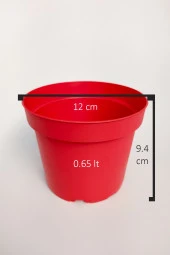 12 cm Kaktüs Sukulent Saksısı 5 Adet Kırmızı Tekpar Plastik Üretim Saksısı Bol Drenaj Deliği - 2