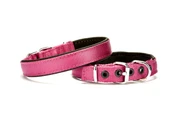 Softlu Köpek Boyun Tasması 2 cm x 40 cm Mor - 1