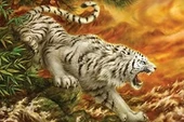 OMZ KS Puzzle 1000 Parça White Tiger Beyaz Kaplan Kız Erkek Çocuk Oyuncak Eğitici Oyuncaklar thumbnail 2