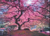 Anatolian 1000 Parça Pink Tree Puzzle thumbnail 1