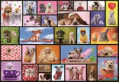 Educa 1000 Parça Puzzle Shared Moments - 1