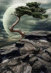 Nova 1000 Parça Doğanın Mucizesi Puzzle thumbnail 3