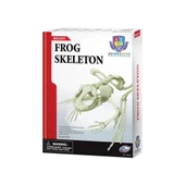 Eğitici Oyuncak Kurbağa İskeleti Bilim Seti thumbnail 2