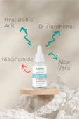 Agarta oğun Nemlendirici ve Yenileyici Hyaluronic Serum 30 ML thumbnail 3