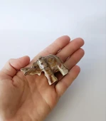 Fil Oniks Taşı Biblo Mermer Onix Ev Ofis Dekor Masa Süsü thumbnail 2