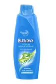 Blendax Şampuan Aloe Vera 500ml - 2