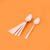 6'lı Çay Kaşığı - Gri - 1