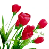 Manolya Yapay Çiçek - Pembe thumbnail 3