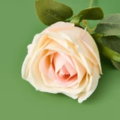 Time Dal Gül - Asorti - 30 cm thumbnail 3