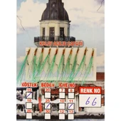 ÇAPARİ İSTAVRİT KOLAY AÇILIR 10 İĞNE RENK 66 - 1