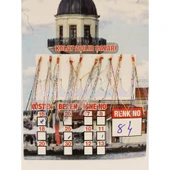 ÇAPARİ İSTAVRİT KOLAY AÇILIR 10 İĞNE RENK 84 - 1