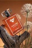 Paradıse For Woman 100 ml Edc Kadın Parfüm thumbnail 1