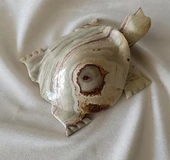 Kaplumbağa Yeşil  Oniks Taşı Biblo Mermer Onix Ev Ofis Dekor Masa Süsü thumbnail 5