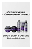 Urban Care Expert Biotin Ve Kafein Dökülme Karşıtı Saç Bakım Şampuanı 350 ml - 7