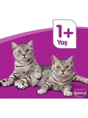 Whiskas Pouch Tavuklu Yetişkin Kedi 85GR x 12 Adet - 2