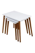 RMD SHOP Neptün 3 lü Zigon Sehpa - 5