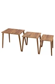 RMD SHOP Neptün 3 lü Zigon Sehpa - 4
