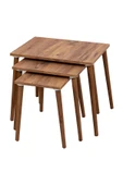 RMD SHOP Neptün 3 lü Zigon Sehpa - 3