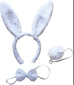 Tavşan Kostüm Seti Taç Papyon Kuyruk Beyaz Renk thumbnail 1