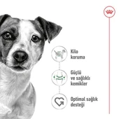 Royal Canin Mini Adult Köpek Maması 2 kg Promo. - 3