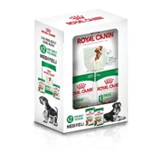 Royal Canin Mini Adult Köpek Maması 2 kg Promo. - 1