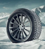 Hankook Winter icept Evo3 X W330A 265/60 R18 114H XL Kış Lastiği - 2025 - 2