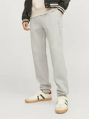 Jack Jones Gordon Estar Erkek Eşofman Altı 12248838 thumbnail 3