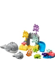 LEGO ® DUPLO® Vahşi Okyanus Hayvanları 10972 - 2 Yaş ve Üzeri Çocuklar için Yapım Seti (32 Parça) - 5