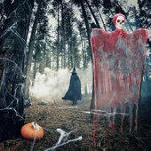 Led Işıklı Kahkaha Atan Sesli Sensörlü Ürpertici Kuru Kafa Kanlı Korku Hayalet Saçaklı Dekor 90x50 Cm thumbnail 2