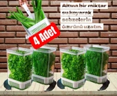 Yeşillik Saklama Kabı 4 Ad 2900ML Maydonoz,dereotu,tere Roka Yeşillik Sebze Kabı thumbnail 1
