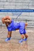 Kedi ve Köpek Pati Ayakkabısı – Silikon Kaymaz Tabanlı, Cırt Cırtlı, Çok Renkli & Farklı Beden Seçenekleri (Stoktan Gönderim) - 1