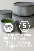 4'lü Kapaklı Gıda Saklama Kabı Seti – Mikrodalga ve Difrize Uygun - 6