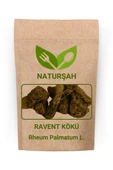 Naturşah Ravent Kökü 100 Gr - 1