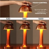 Cata CT-8430 Lizbon Sarjli Masa Lambası 3 Farklı Renk Moduna Dokunmatik Geçiş Cata Dimmerli Rose Gold thumbnail 4