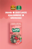Humm Organic Organik Glutensiz Vegan Çilekli Mini Küpler Atıştırmalık Paketi - 6 Adet thumbnail 2