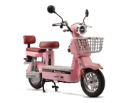 Motolux GO55 800 W Elektrikli Motosiklet - 1